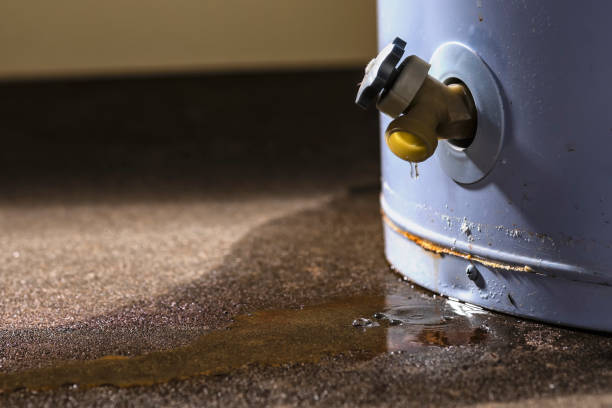 Best Water damage cleanup near me  in Country Walk, FL