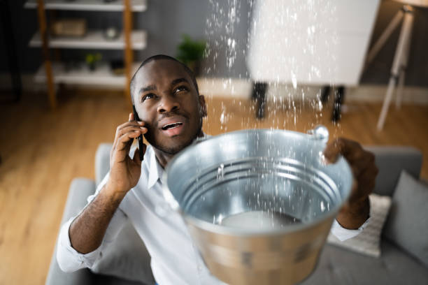 Best Water damage restoration near me  in Country Walk, FL