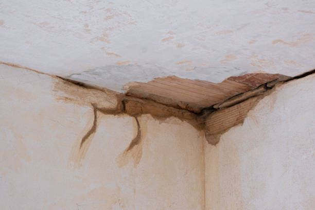 Water damage restoration insurance claims in FL