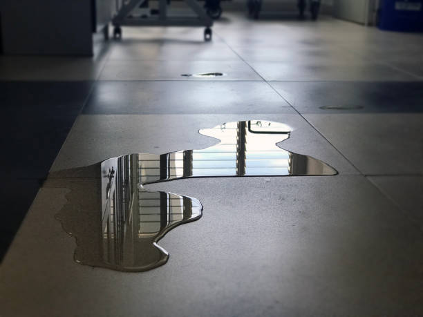 Best 24-hour water damage restoration  in Country Walk, FL
