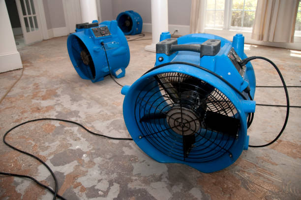Best Basement water damage restoration  in Country Walk, FL