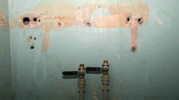 Best Residential water damage restoration  in Country Walk, FL