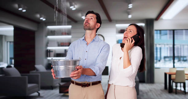 Best Mold removal after water damage  in Country Walk, FL
